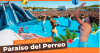 Benidorm Reggaeton Beach Festival