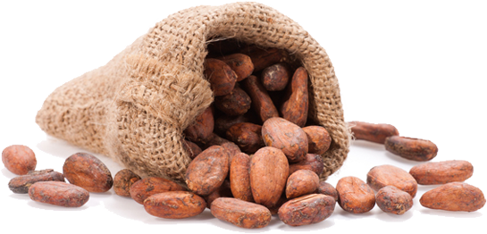 saco cacao