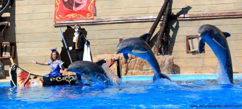 delfines opera